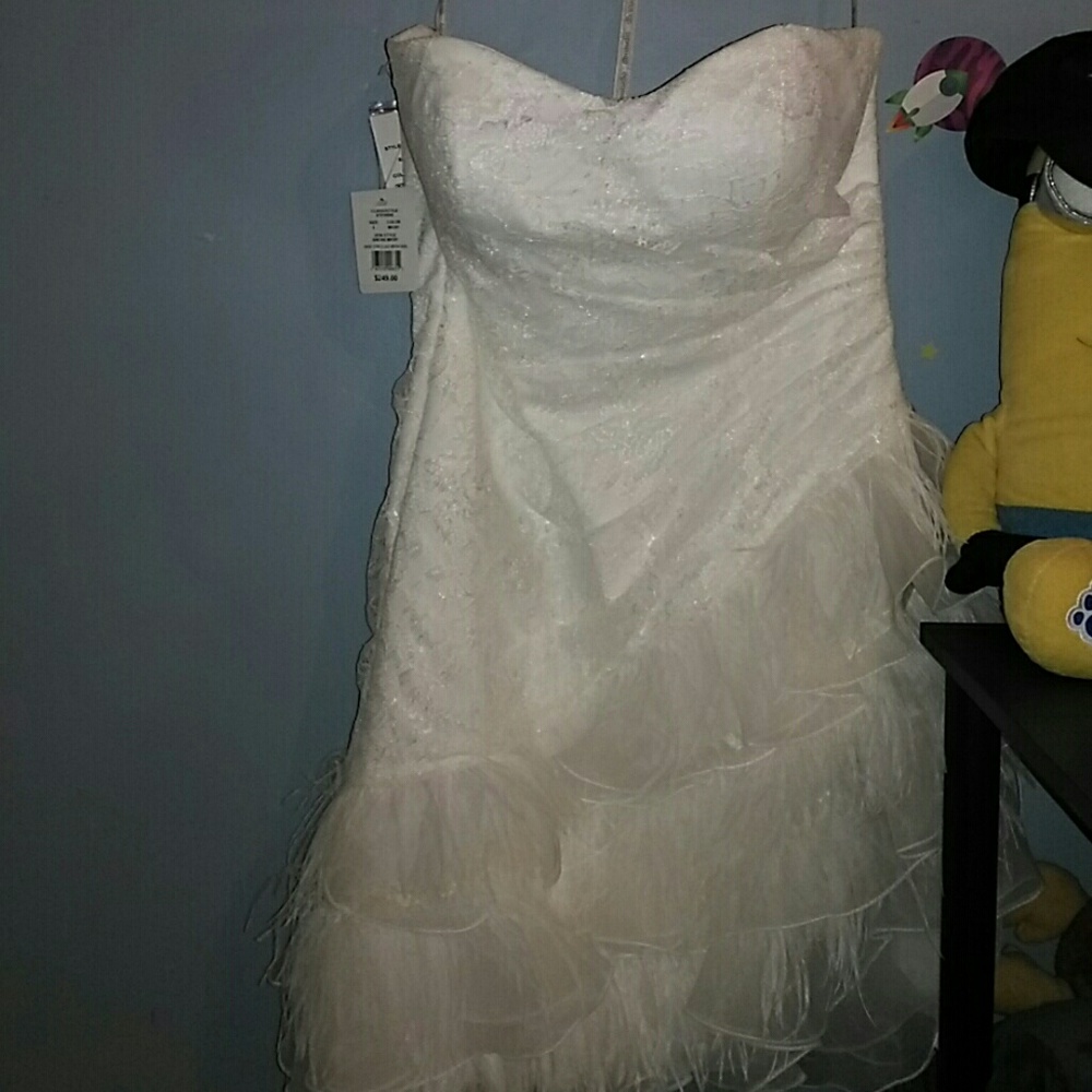 Davids Bridal Wedding Dress