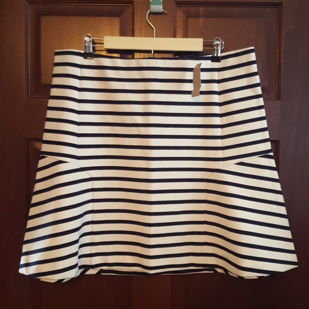 Ann Taylor Navy and Cream Stripes Skirt