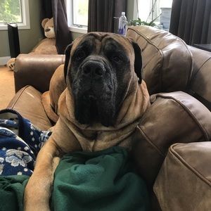 Meet your Posher, Karinne