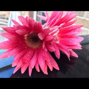 Meet your Posher, Summer