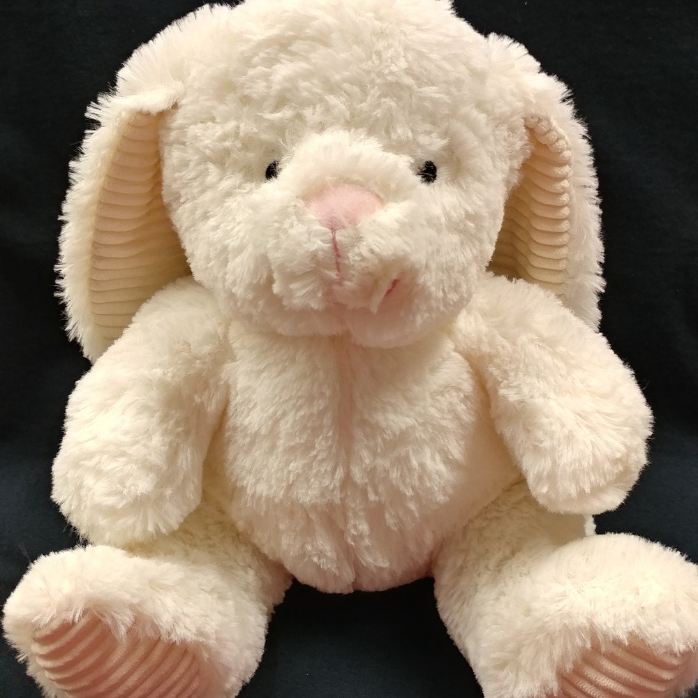 Soft, cuddly Bunny