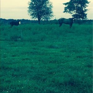 Meet your Posher, Alana