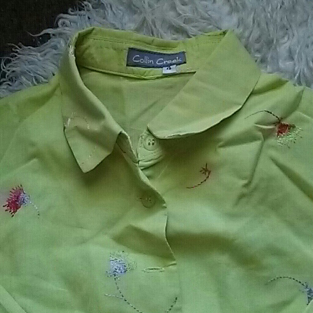 🌻Pastel Passion Rare Vtg Blouse🌼