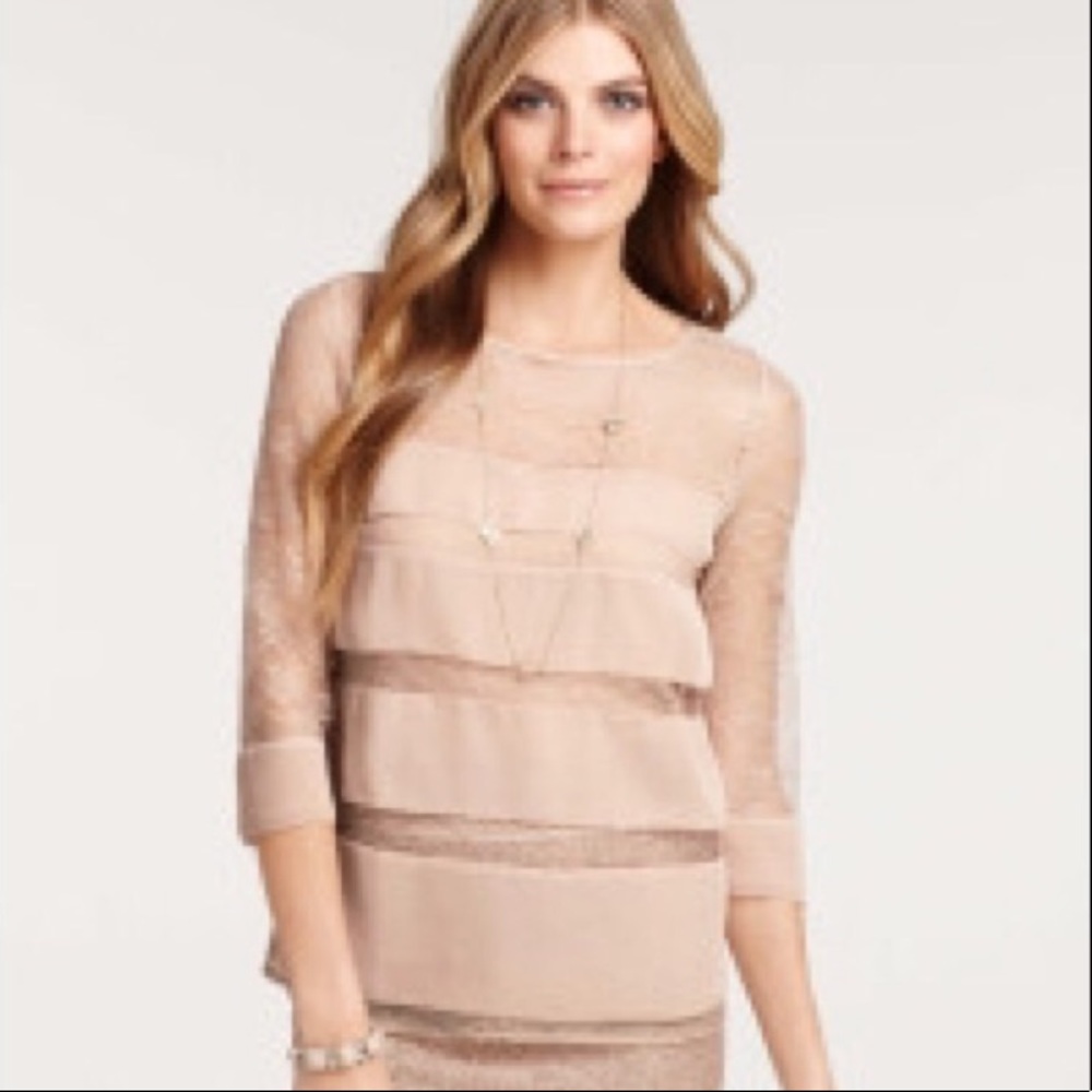 Ann Taylor Blouse