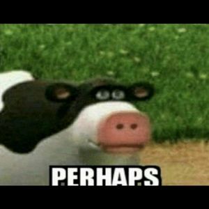 Meet your Posher, Gavin