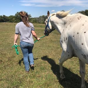 Meet your Posher, Elizabeth