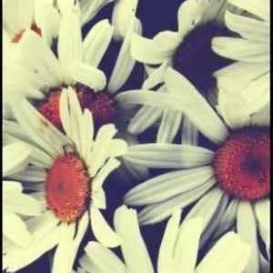 Meet your Posher, Katlyn