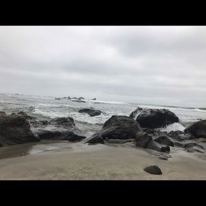 Meet your Posher, Monica