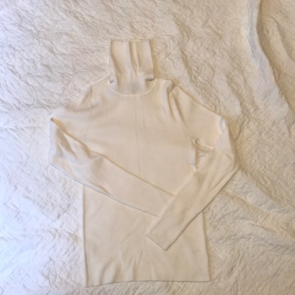 The Limited Turtleneck