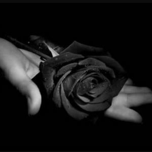 Meet your Posher, Suleidy