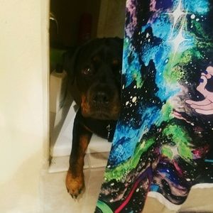 Meet your Posher, Kris