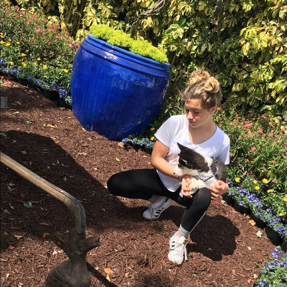 Meet your Posher, Avalon