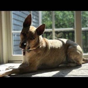 Meet your Posher, Nick