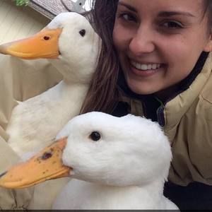 Meet your Posher, Sidney