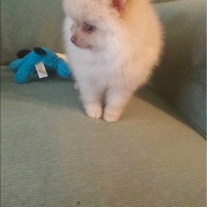 Meet your Posher, Debby