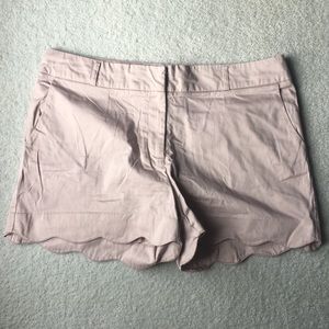 Maurice's shorts