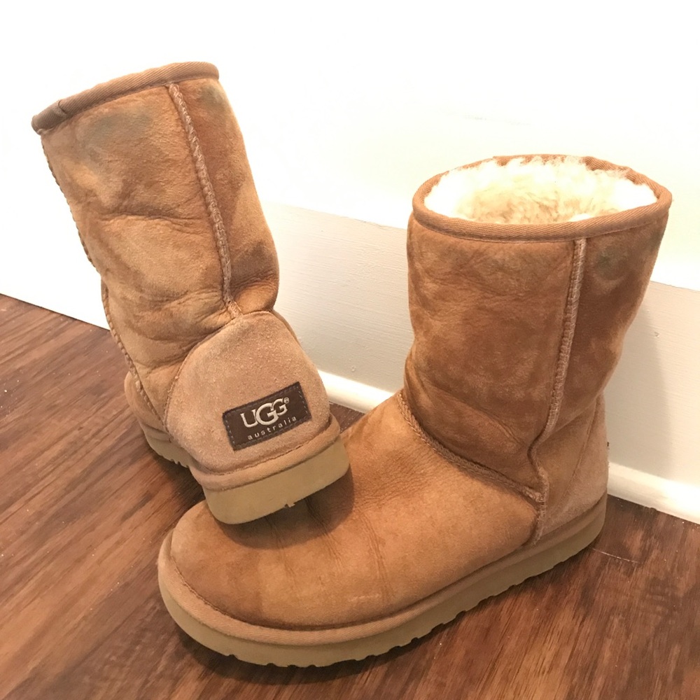 Chestnut Short Uggs