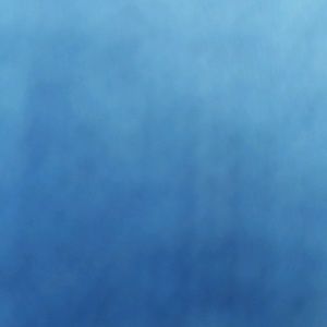 Meet your Posher, Shelley