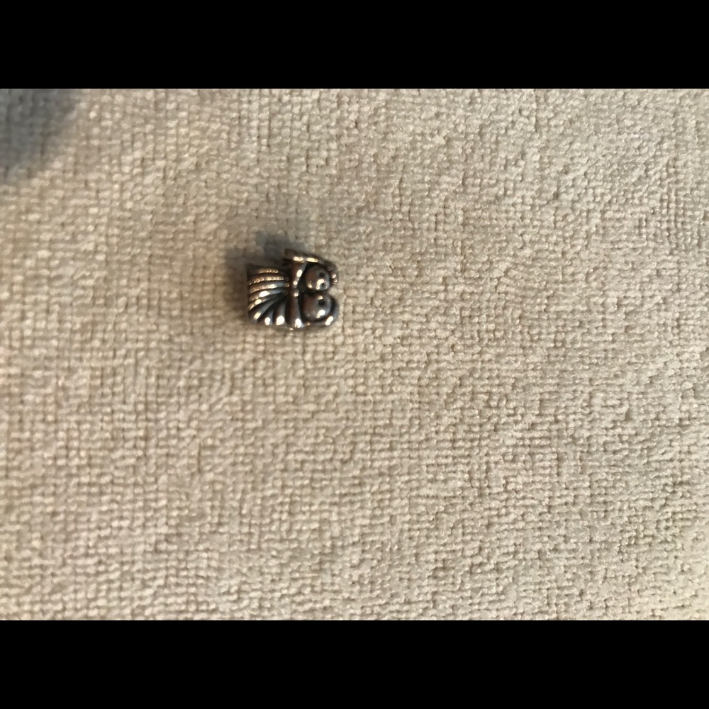 Pandora wedding charm