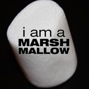 Meet your Posher, Karol