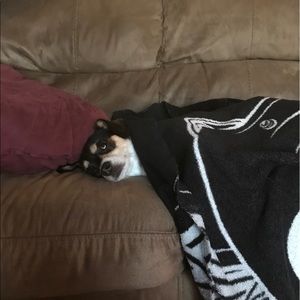 Meet your Posher, Garrett