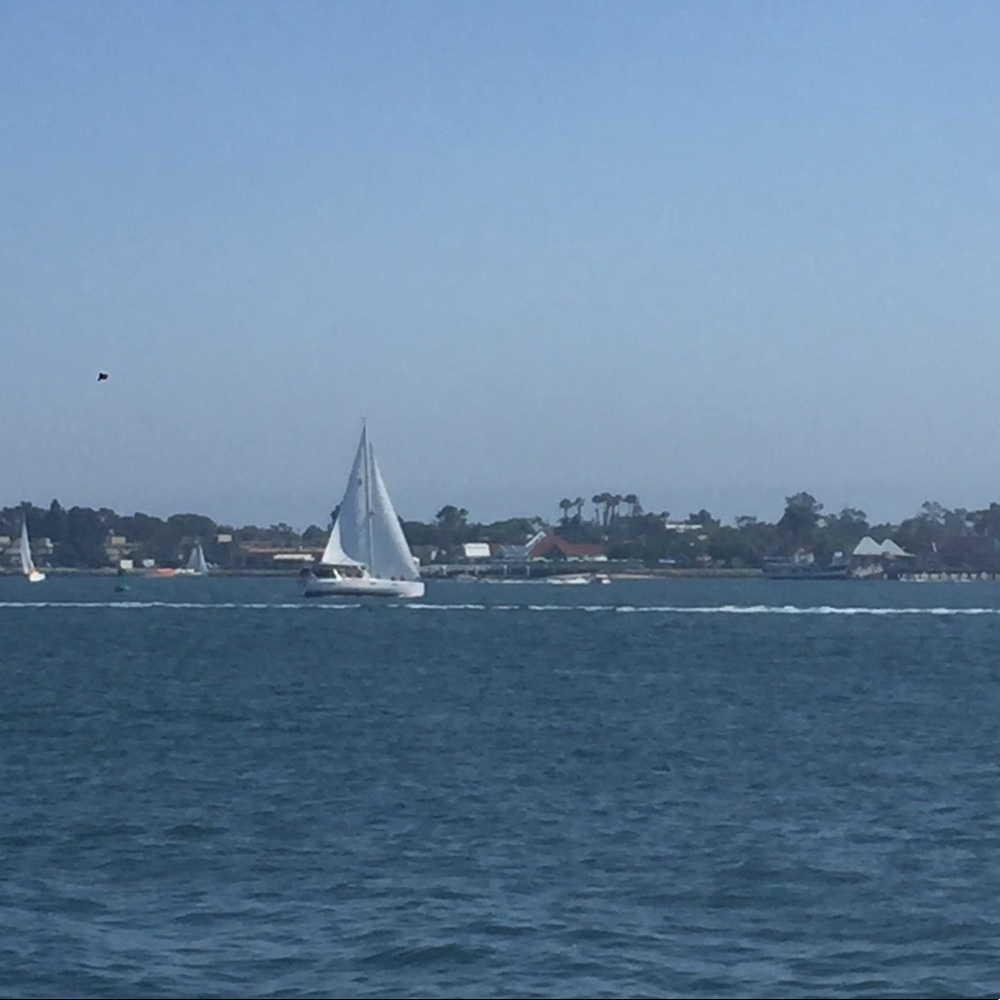 Meet your Posher, Judi