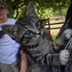 Meet your Posher, Josh