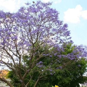 Meet your Posher, Nelly