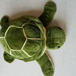 Meet your Posher, Dong