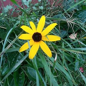 Meet your Posher, Fran