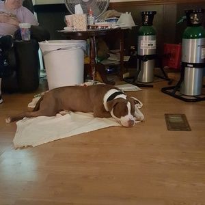 Meet your Posher, Marni