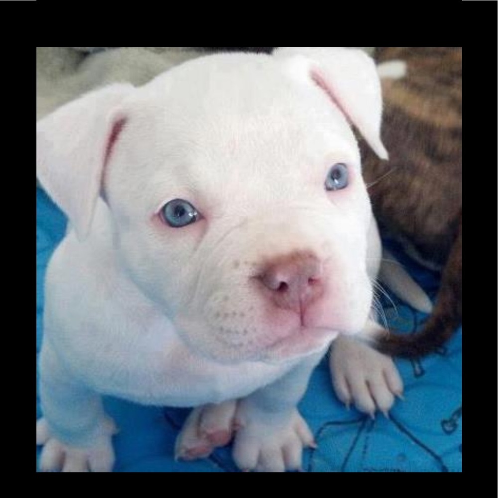 Meet your Posher, Cynthia