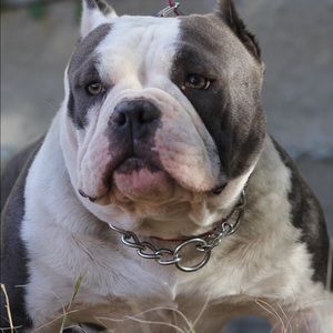 Meet your Posher, Bryan