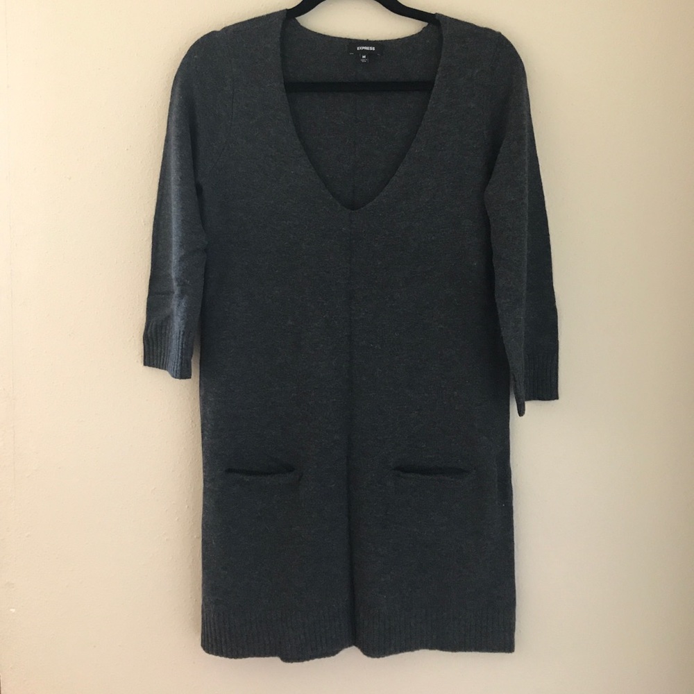 Express Sweater Dress