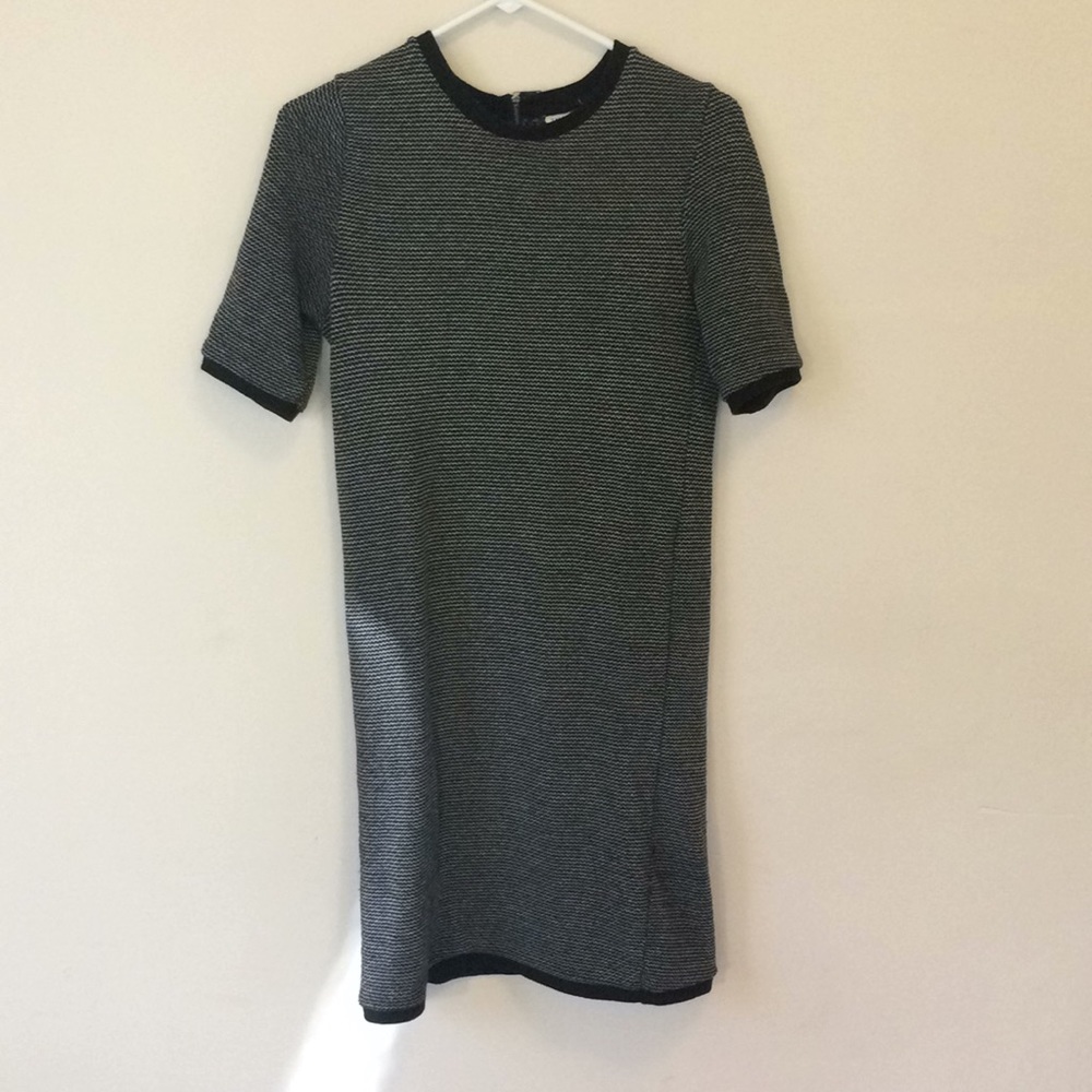 Zara Knit Dress