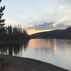 Meet your Posher, Regina