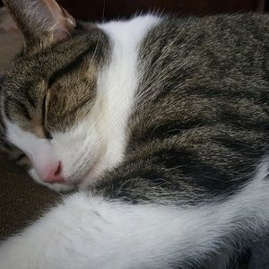 Meet your Posher, Barbara