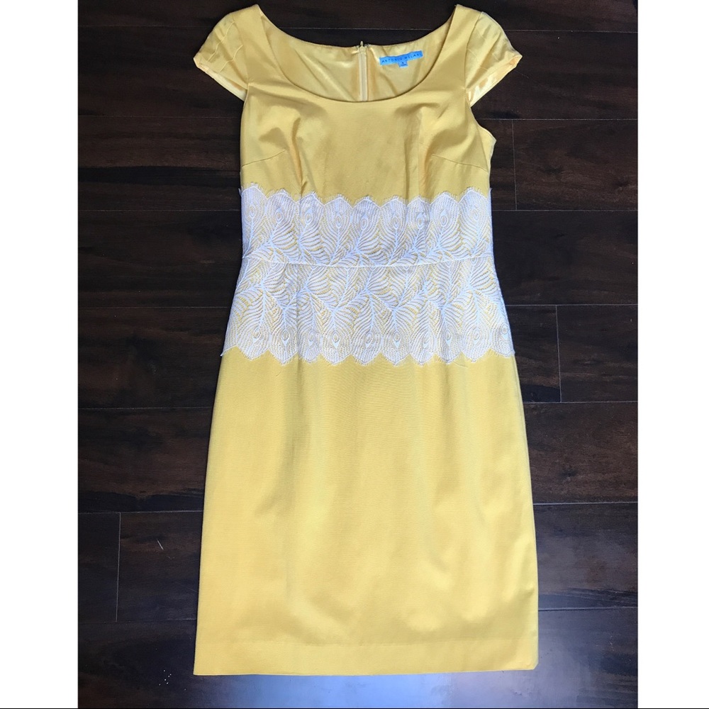 Antonio Melani Yellow Carrine Dress (4, NWT)