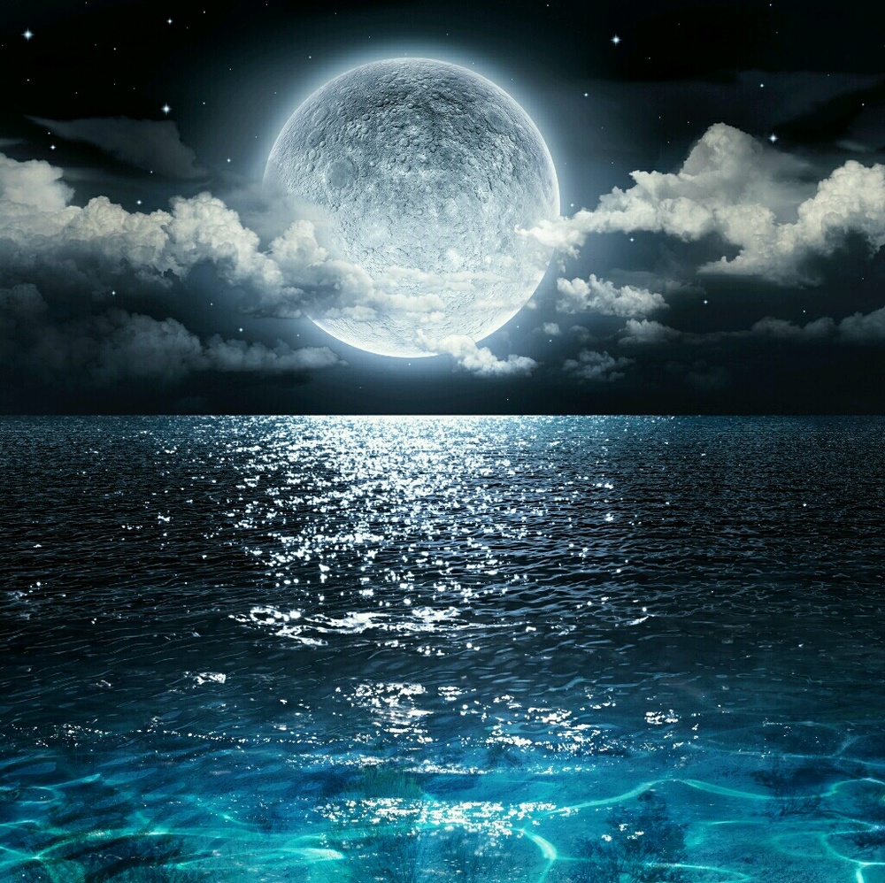 Meet your Posher, Nelvia