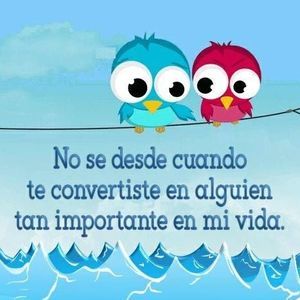 Meet your Posher, Maria