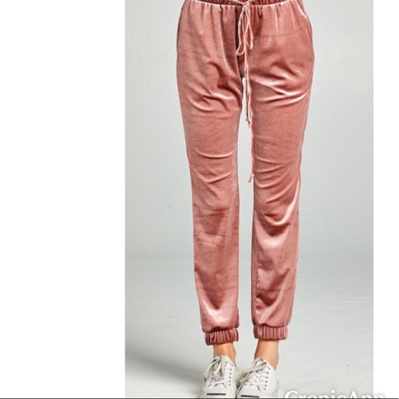 VELVET JOGGER PANTS - Picture 4 of 5