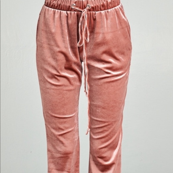 VELVET JOGGER PANTS - Picture 5 of 5