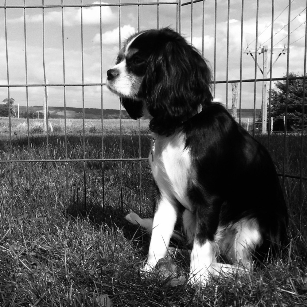 Meet your Posher, Isabelle