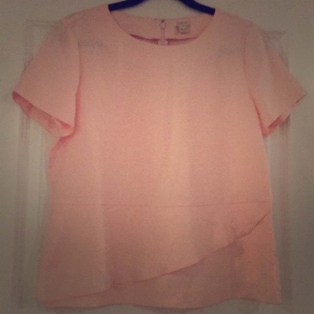 Light Pink Silk J Crew blouse