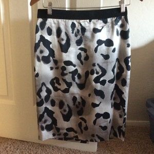 Ann Taylor skirt