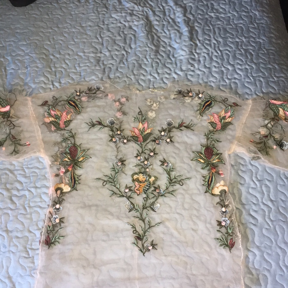 Beautiful embroidered mesh blouse