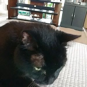 Meet your Posher, Sharon