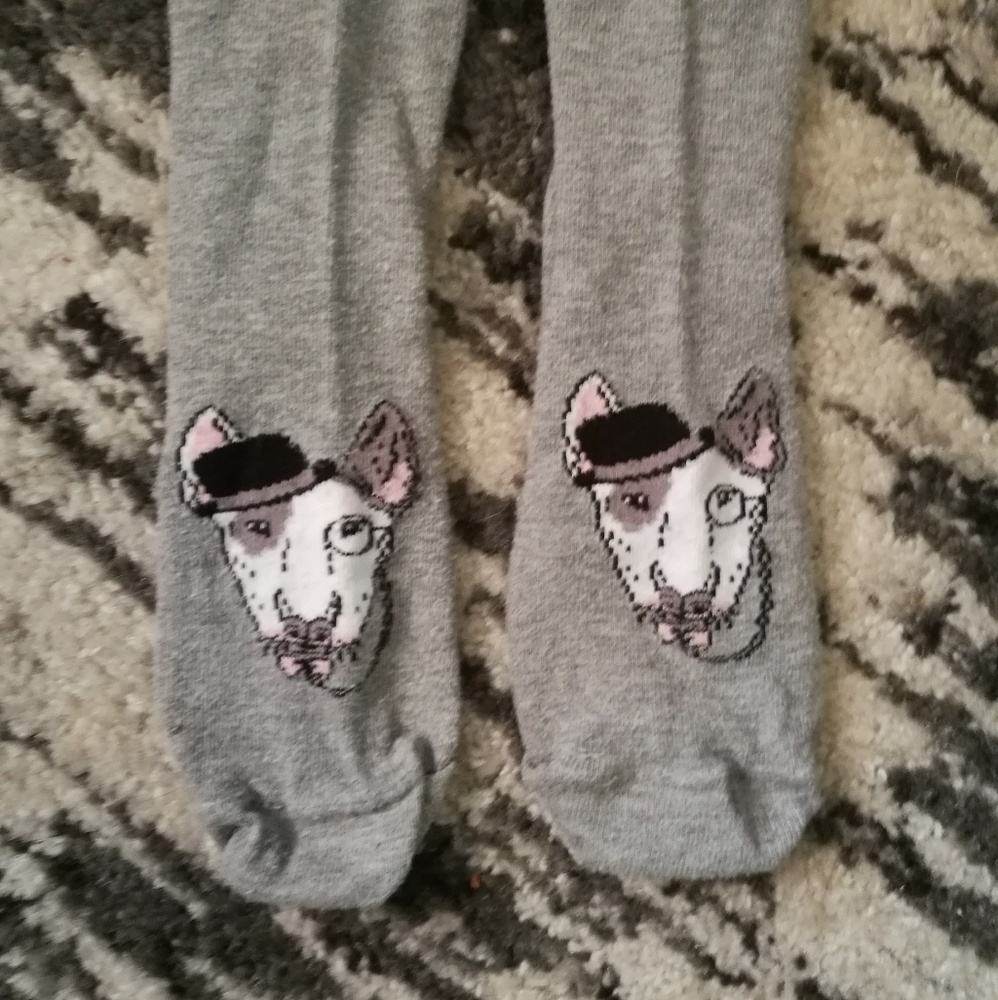 Fancy Pups - Picture 1 of 1