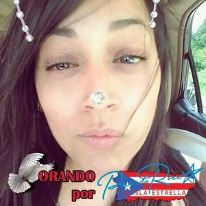 Meet your Posher, Suleiry