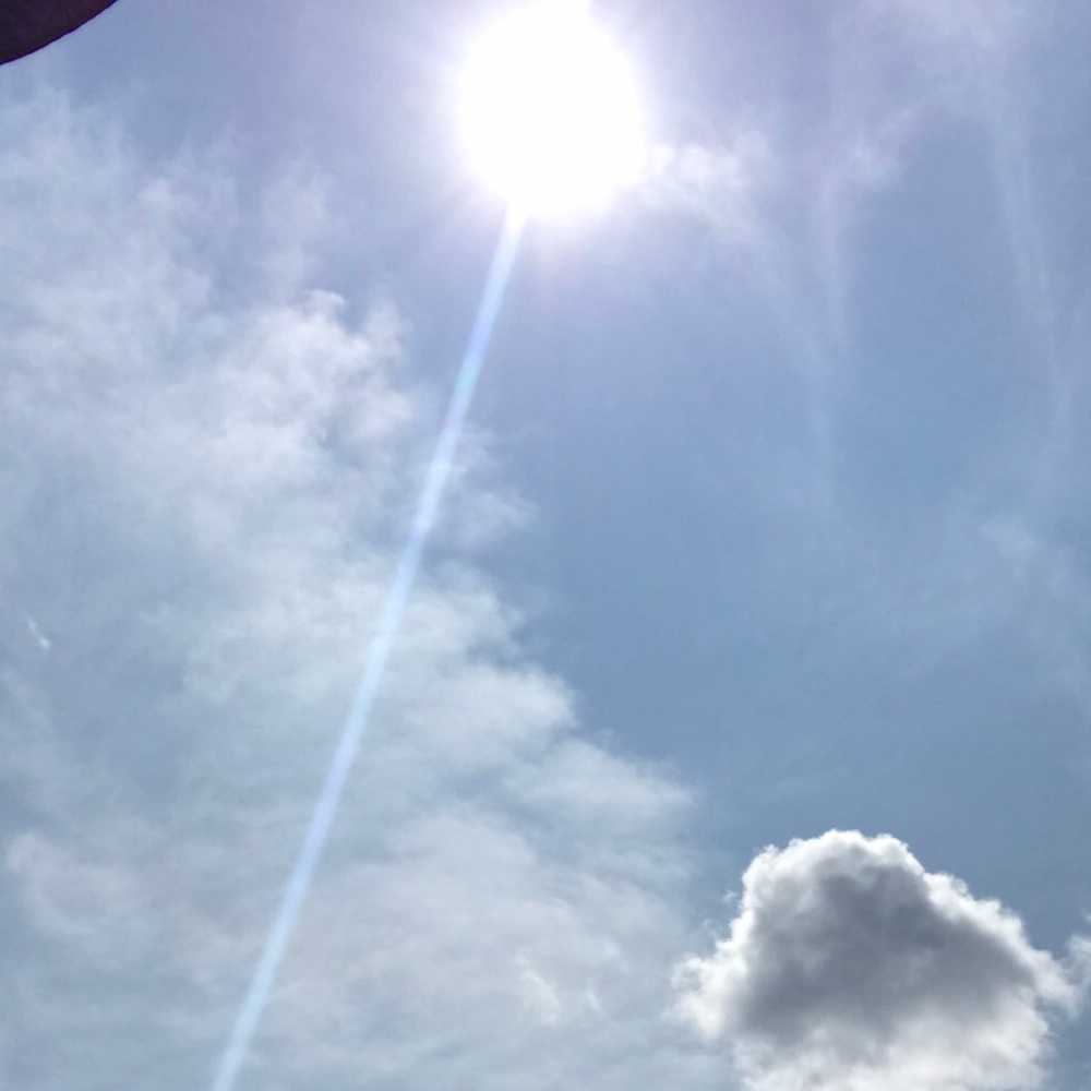 Meet your Posher, Logan